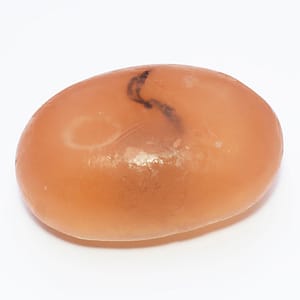 Galet de savon senteur Criste Marine